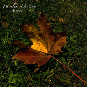 爱德华兹盛赞詹姆斯
